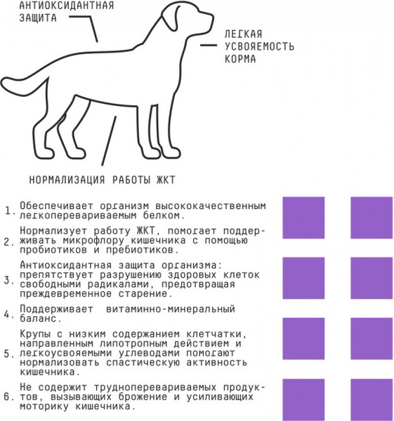 Изображение товара Сухой корм для собак AJO Dog Sense с гречкой для собак с чувствительным пищеварением (12кг)