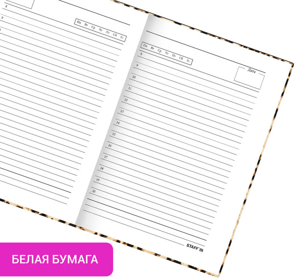 Изображение товара Ежедневник Staff 115567 (160л)