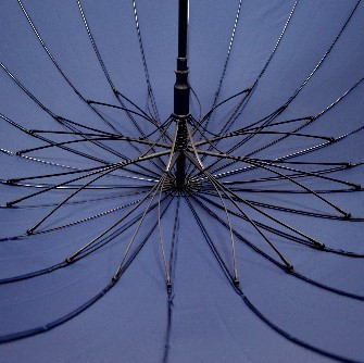 Изображение товара Зонт-трость RS (Rain Stop) 2195 (синий)