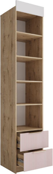 Изображение товара Шкаф-пенал ДСВ Лавис ШД 450.1 (белый/белый софт/графит софт)