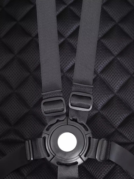 Изображение товара Детская прогулочная коляска Rant Sky / RA400 (Black)