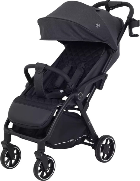 Изображение товара Детская прогулочная коляска Rant Sky / RA400 (Black)