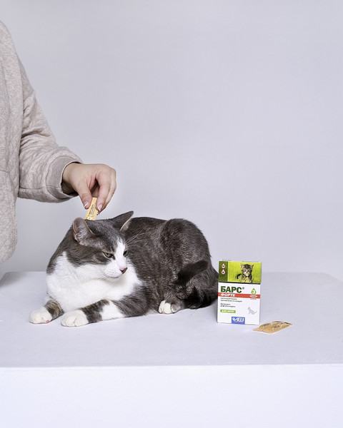 Изображение товара Капли от блох Агроветзащита Барс Форте для котят (3 пипетки)