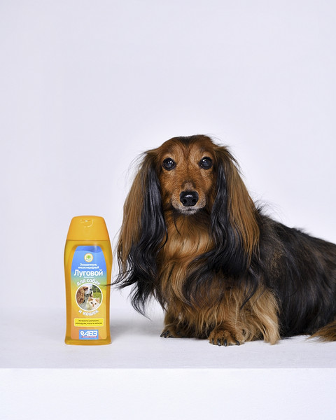 Изображение товара Шампунь для животных Агроветзащита Луговой для собак и кошек (270мл)