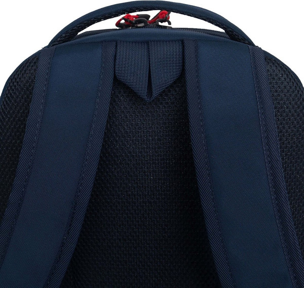 Изображение товара Школьный рюкзак Grizzly RB-551-4 (синий)