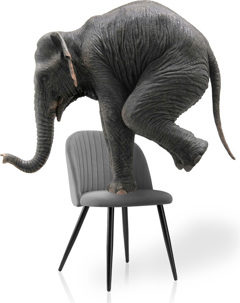 Изображение товара Стул Woodville Gabi 1 (светло-голубой/черный)