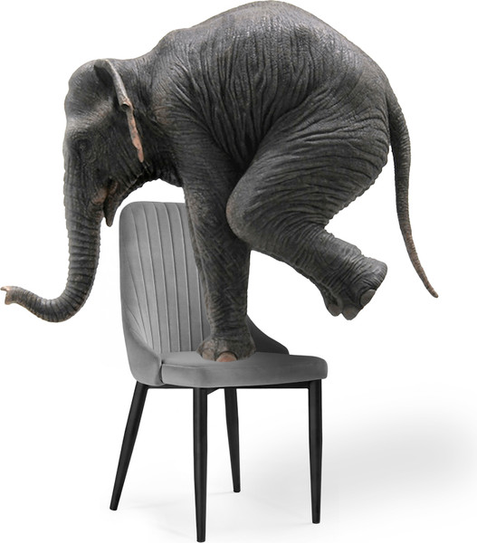 Изображение товара Стул Woodville Kora (зеленый/черный)