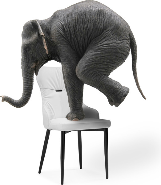 Изображение товара Стул Woodville Neli (серый/черный)