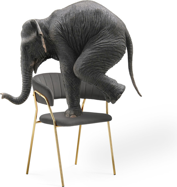 Изображение товара Стул Woodville Kamelia 1 (черный/золотой)