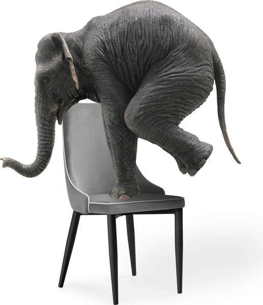 Изображение товара Стул Woodville Kora 1 (светло-голубой/черный)