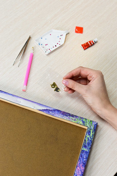 Изображение товара Набор алмазной вышивки Феникс+ Девушка с пандой / 68612