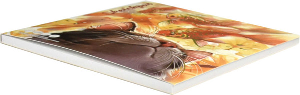 Изображение товара Скетчбук Феникс+ Лучезарный кот / 67796