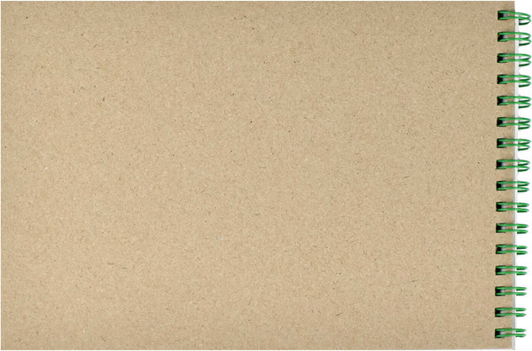 Изображение товара Скетчбук Феникс+ Лимоны / 65982