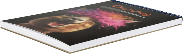 Изображение товара Скетчбук Феникс+ Заводная альпака / 68506