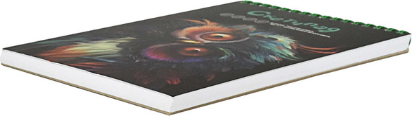 Изображение товара Скетчбук Феникс+ Удивленная сова / 68507