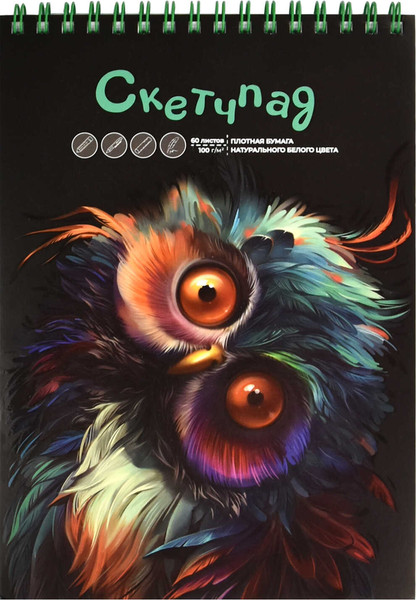 Изображение товара Скетчбук Феникс+ Удивленная сова / 68507
