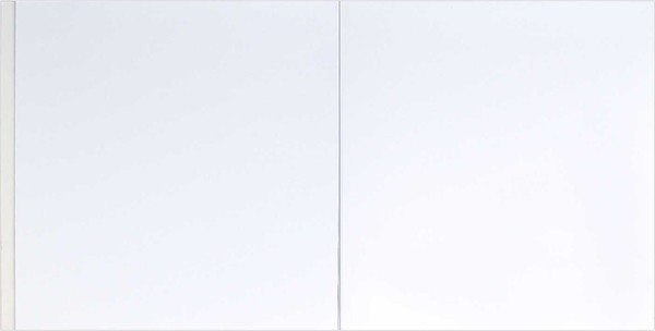 Изображение товара Альбом для рисования Феникс+ Аксолотль / 64788