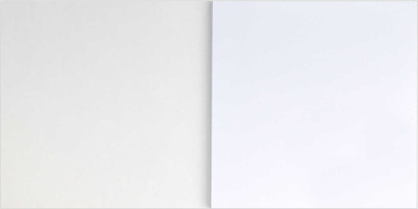 Изображение товара Альбом для рисования Феникс+ Аксолотль / 64788