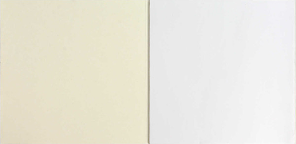 Изображение товара Альбом для рисования Феникс+ Милый Енот / 66652