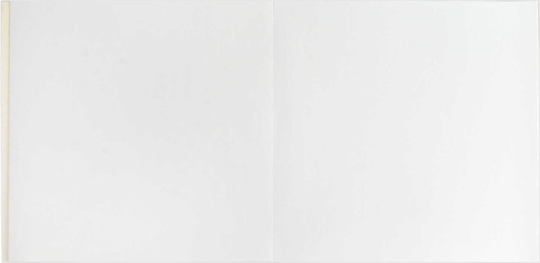 Изображение товара Альбом для рисования Феникс+ Милый Енот / 66652