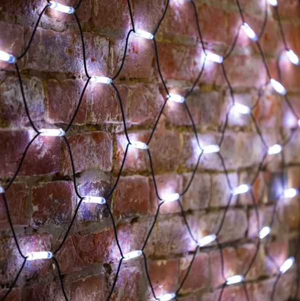 Изображение товара Светодиодная сеть Neon-Night 217-135 (2x4м, белый)