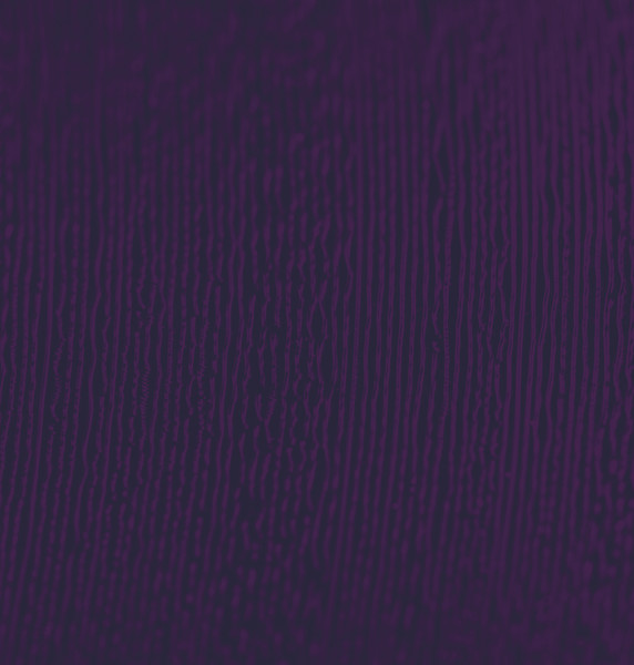 Изображение товара Книга ХлебСоль Алкоголь и винил. Легенды возвращаются! Твердая обложка (Дарлингтон Андре)