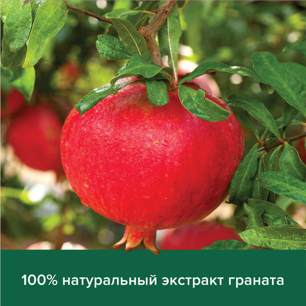 Изображение товара Мыло твердое Palmolive Роскошная мягкость витамин В и гранат (90г)