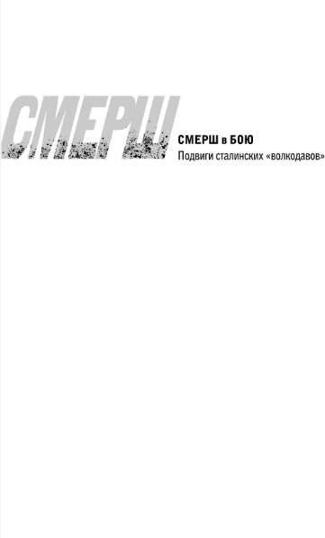 Изображение товара Книга Эксмо Пуля для карателя, мягкая обложка (Тамоников Александр)