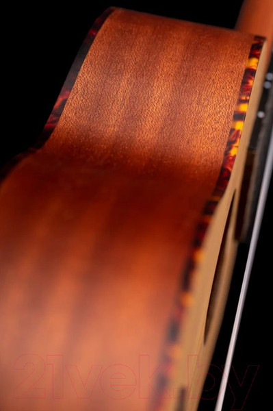 Изображение товара Укулеле Ortega RU5-SO