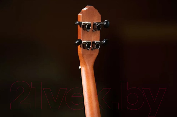 Изображение товара Укулеле Ortega RU5-SO