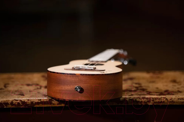 Изображение товара Укулеле Ortega RU5-SO