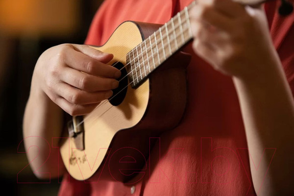 Изображение товара Укулеле Ortega RU5-SO