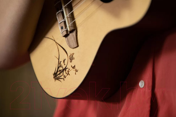 Изображение товара Укулеле Ortega RU5-SO