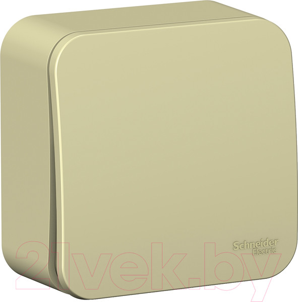 Изображение товара Выключатель Systeme (Schneider) Electric Blanca BLNVA101017
