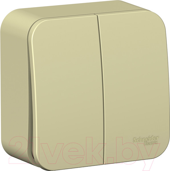 Изображение товара Выключатель Systeme (Schneider) Electric Blanca BLNVA105017