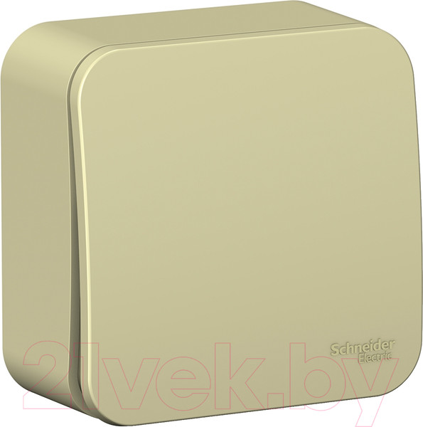 Изображение товара Выключатель Systeme (Schneider) Electric Blanca BLNVA106017