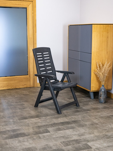 Изображение товара Складной шезлонг Ipae Progarden ARI036AN