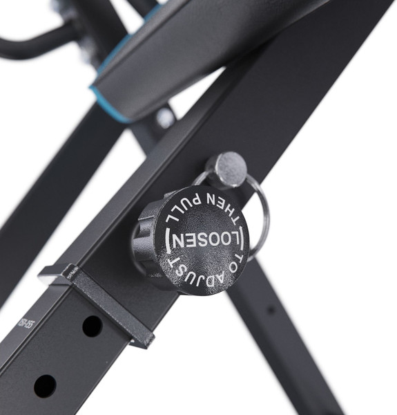 Изображение товара Инверсионный стол DFC Skandia IT003A