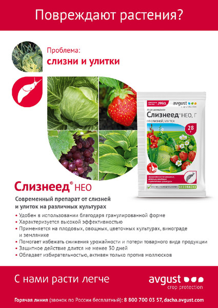 Изображение товара Инсектицид Avgust От слизней и улиток Слизнеед Нео (98г)