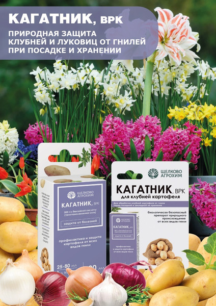 Изображение товара Фунгицид Щелково Агрохим Кагатник (25мл)