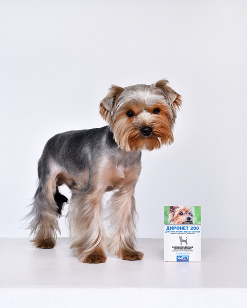 Изображение товара Таблетки от глистов Агроветзащита Диронет 200 для собак мелких пород и щенков (10 таблеток)