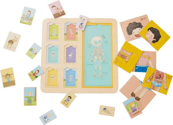 Изображение товара Развивающая игра Classic World Тело CW40031