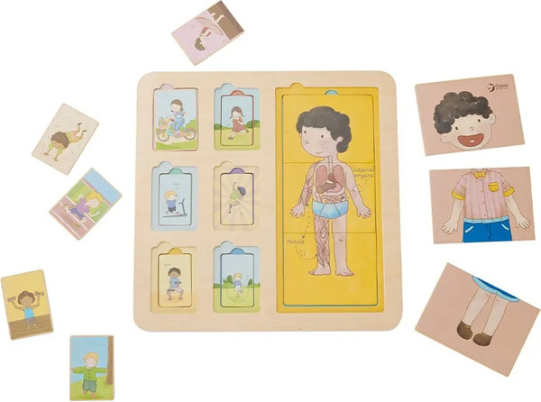 Изображение товара Развивающая игра Classic World Тело CW40031