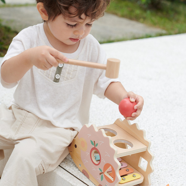 Изображение товара Бизиборд Classic World 2 в 1 Ежик CW20137