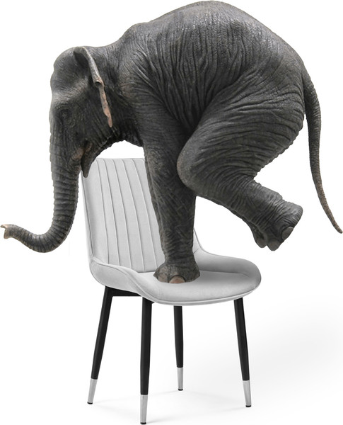 Изображение товара Стул Woodville Seda-1 / 15295 (black/gold/black)