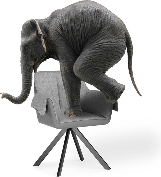 Изображение товара Стул Woodville Каита (Neptun 12/Flex 230/черный)