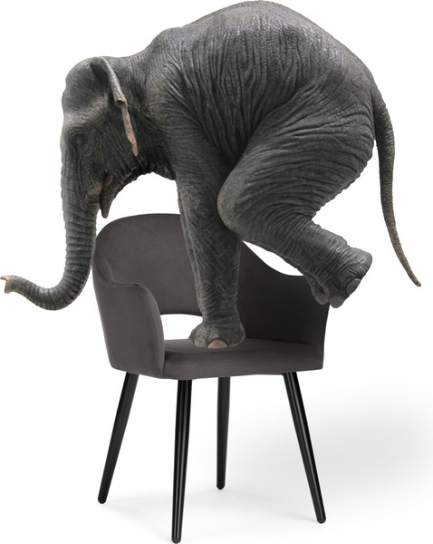 Изображение товара Стул Woodville Апри (микровелюр 05/бежевый глянец)