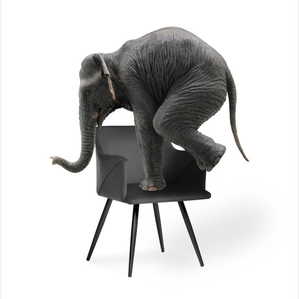 Изображение товара Стул Woodville Эджелл (зеленый/черный)