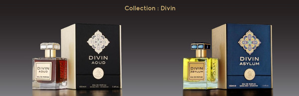 Изображение товара Парфюмерная вода Fragrance World Divin Asylum (100мл)