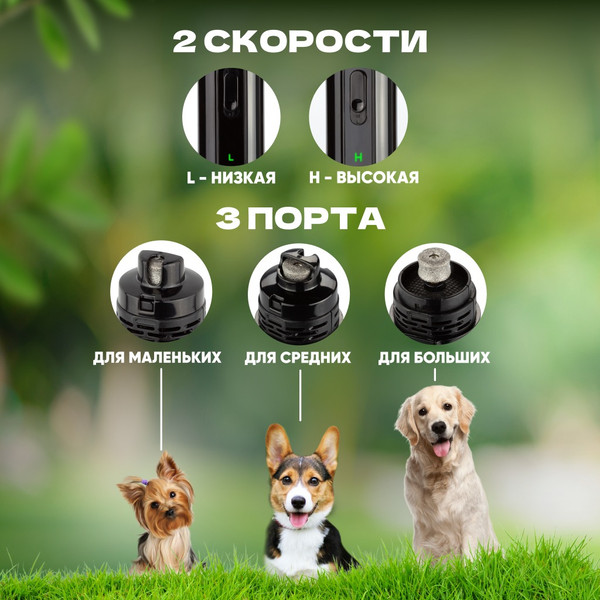 Изображение товара Гриндер для когтей Solmax&Zoo PNG97206